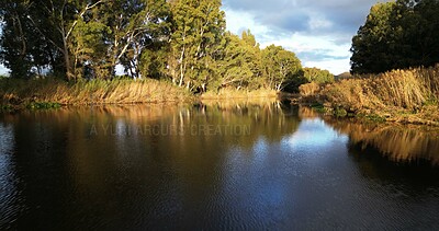 Buy stock photo Water, lake and trees with cloudy sky in nature for serene view, environment or outdoor wilderness. Empty, space and big pond with natural growth or river for quiet landscape, scenery or ocean stream