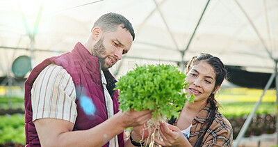 Buy stock photo Agriculture, leaf or people in greenhouse with check, maintenance or stock control in sustainable business. Teamwork, growth or farmers with plant, quality review or inspection in organic production.
