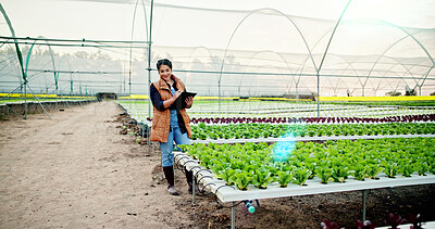 Buy stock photo Smile, inspection and farmer with clipboard for growth, sustainable product and harvest. Agriculture, checklist and woman in greenhouse with agrobusiness for crops, quality control or hydroponics