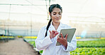 Agriculture, scientist or woman with tablet in greenhouse, plant genetics research or gmo production. Farming, review or researcher with innovation for food security, tech or crop development report