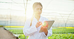 Farming, scientist or woman with tablet in greenhouse, plant genetics research or gmo production. Agriculture, flare or researcher with innovation for food security, tech or crop development report