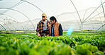 Group, discussion and people on farm with clipboard for check list, sustainability and harvesting. Agriculture, nature and farmer team with agro business for quality control, healthy crops or produce
