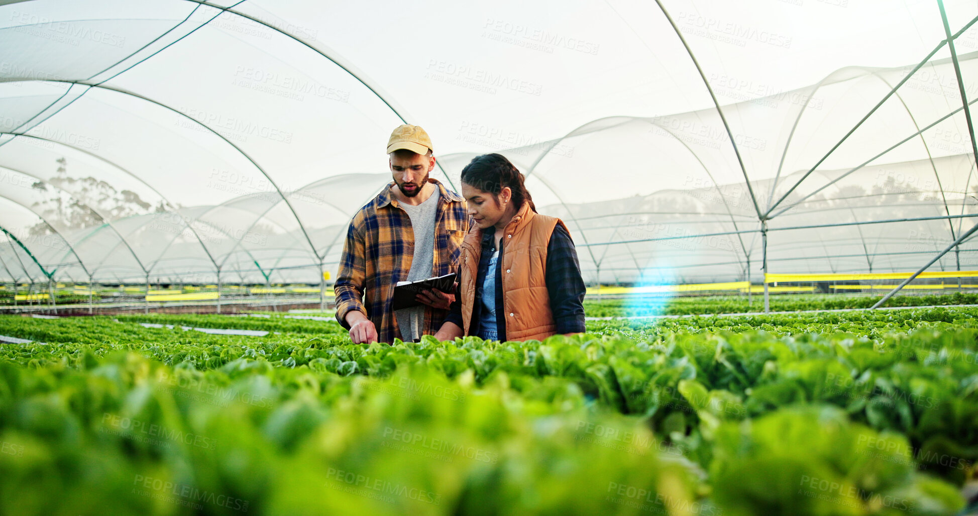 Buy stock photo Growth, discussion or people on farm with clipboard for check list, sustainability or harvest. Agriculture, greenhouse and farmer team with agro business for quality control, healthy crops or produce