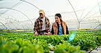 Group, discussion and people on farm with checklist for quality control, sustainability or harvesting. Agriculture, nature and farmer team with agro business with clipboard, healthy crops or produce