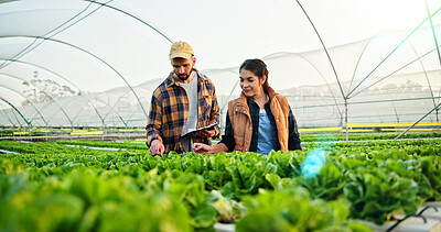 Buy stock photo Team, discussion and people on farm with checklist for quality control, sustainability or harvesting. Agriculture partner, nature or farmer with agro business with clipboard, healthy crops or produce