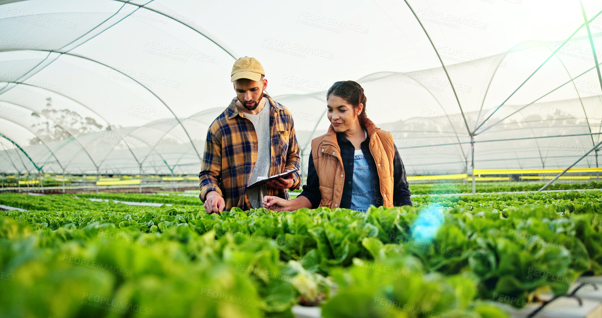 Buy stock photo Team, discussion and people on farm with checklist for quality control, sustainability or harvesting. Agriculture partner, nature or farmer with agro business with clipboard, healthy crops or produce