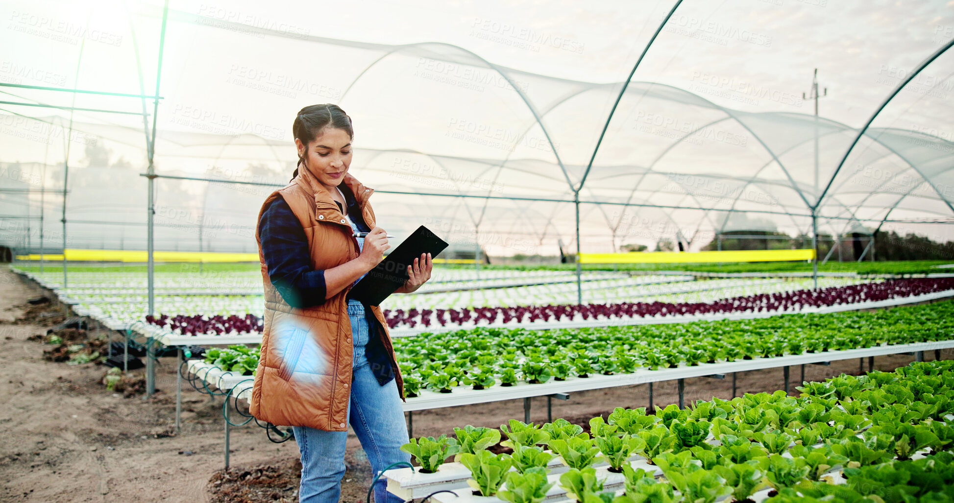 Buy stock photo Smile, inspection and farmer with checklist for agriculture, sustainability and harvest. Greenhouse, clipboard and woman on farm with agro business for crops, quality control or hydroponics produce