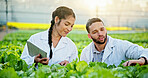 Science, plants or team in greenhouse with tablet, leaf review or analysis in agriculture research. Collaboration, people or scientist with tech, crop observation or inspection in horticulture study.