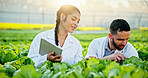 Science, inspection or team in greenhouse with tablet, plant review or test in agriculture research. Collaboration, people or scientist with tech, crop observation or analysis in horticulture study.