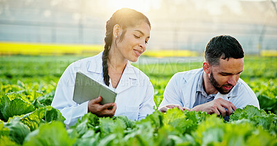 Buy stock photo Science, inspection or team in greenhouse with tablet, plant review or test in agriculture research. Collaboration, people or scientist with tech, crop observation or analysis in horticulture study.