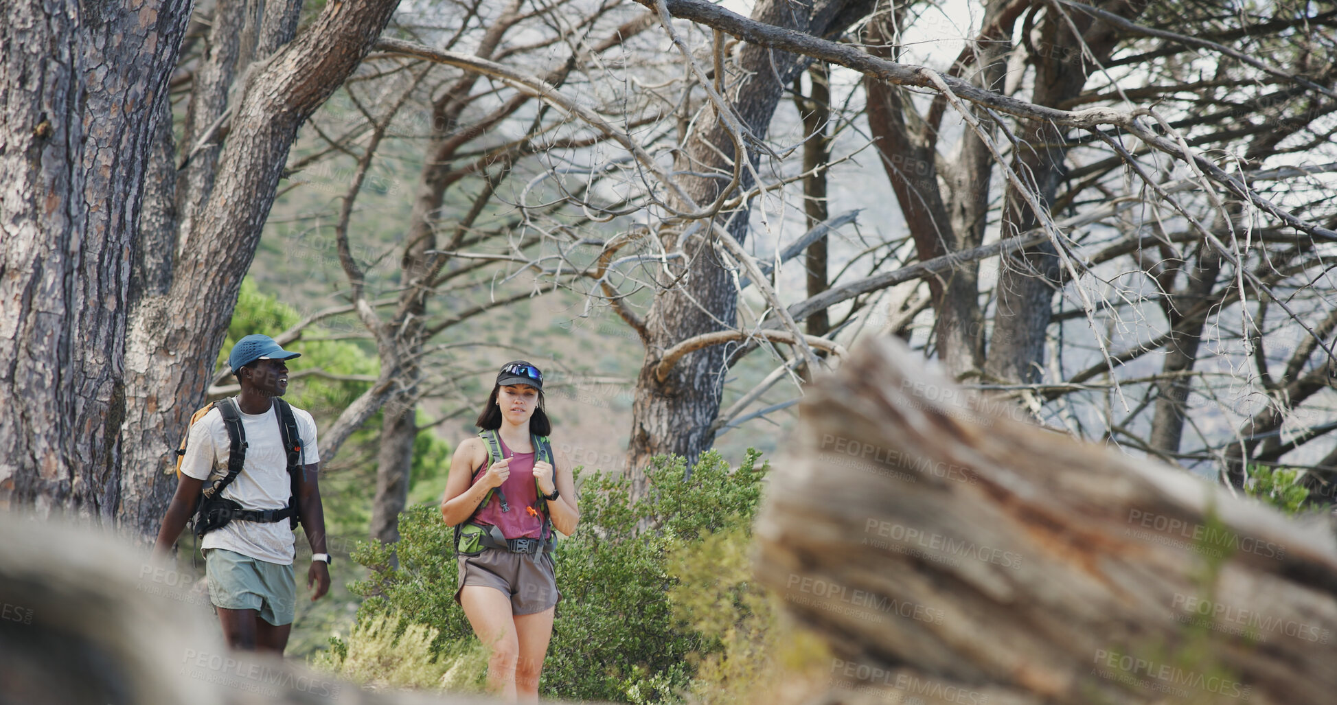 Buy stock photo Fitness, hike or couple in woods with walking, partnership or cardio support in physical activity. Team, man or woman outdoor with exercise, workout collaboration or trekking together in nature hobby