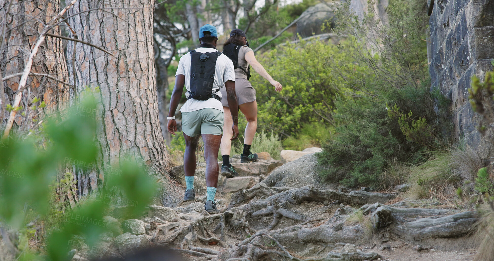 Buy stock photo Back, couple and hiking in forest with fitness, adventure and exercise together for wellness goals. Active, people and walk on mountain with outdoor exploration, workout and interracial relationship.