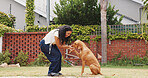 Woman, feed and dog training in backyard with smile, animal care or companion for bonding together. Happy, person and teaching trick in home garden with puppy, eat treats or reward for good behavior.