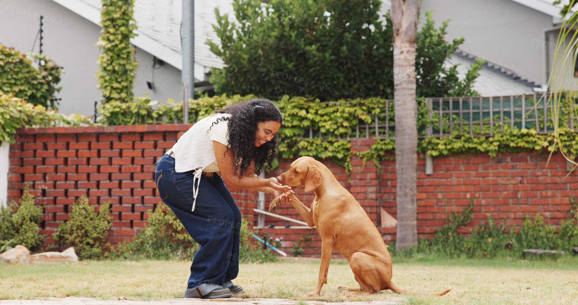 Buy stock photo Woman, feed and dog training in backyard with smile, animal care or companion for bonding together. Happy, person and teaching trick in home garden with puppy, eat treats or reward for good behavior.