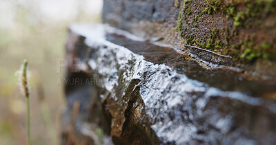 Buy stock photo Wet, rock and moss in nature with sustainable environment, texture and outdoor conservation. Stone, moisture and biodiversity in rainforest with rugged surface, growth and plants for ecology.