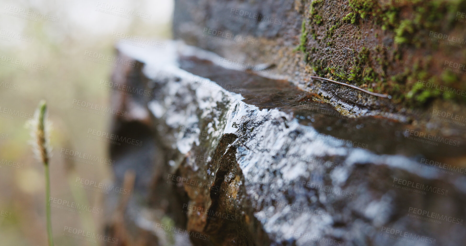 Buy stock photo Wet, rock and moss in nature with sustainable environment, texture and outdoor conservation. Stone, moisture and biodiversity in rainforest with rugged surface, growth and plants for ecology.