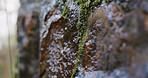 Wet, rock and moss outdoor with sustainable environment, smooth texture and nature conservation. Space, natural stone or moisture in rainforest with rugged surface, growth or green lichen for ecology