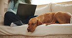 Remote work, woman and dog sleeping on sofa for security, loyal companion and owner attachment. Laptop, freelancer and exhausted canine with nap on couch for rest, pet adoption and protection in home