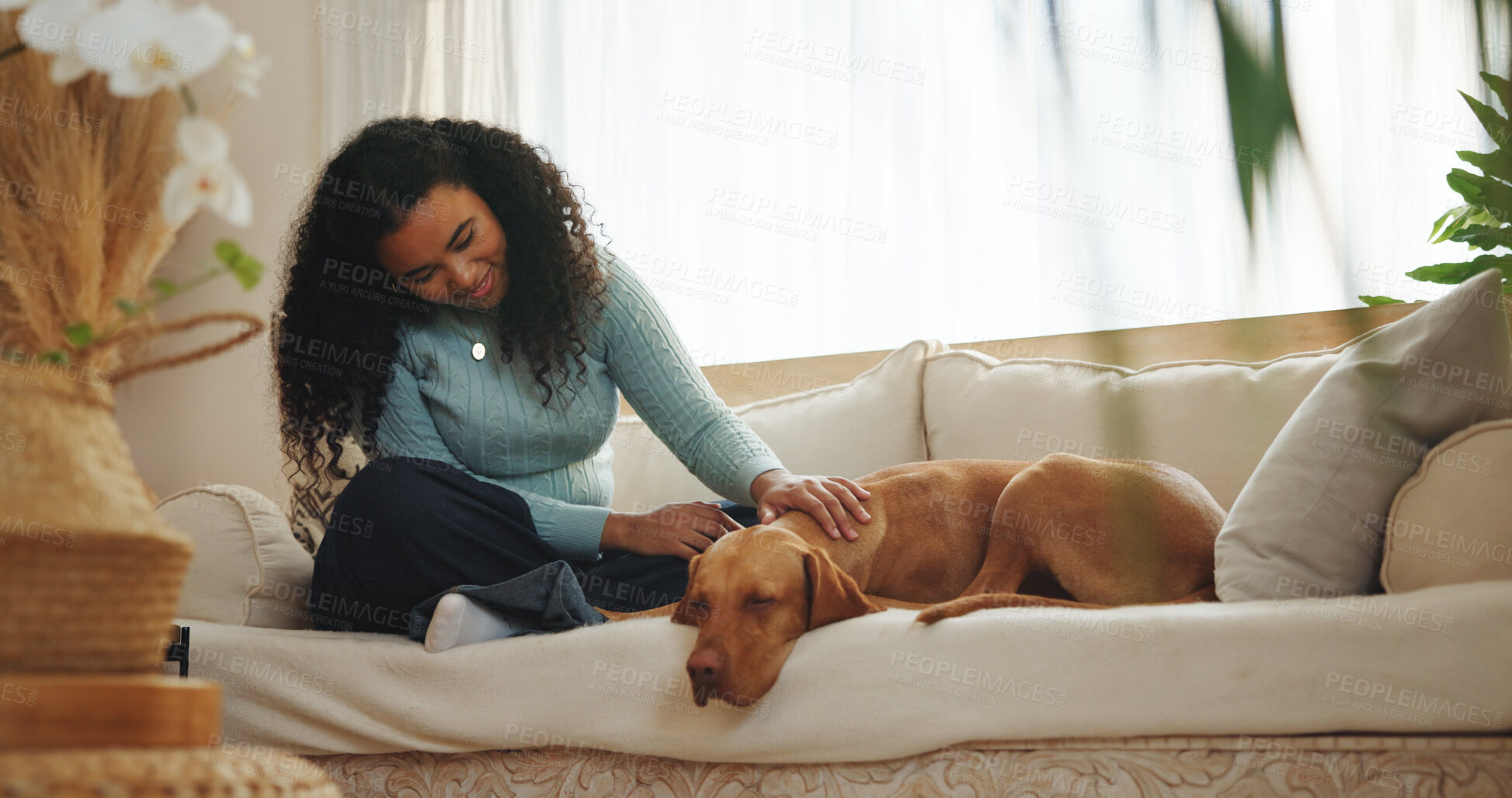 Buy stock photo Woman, relax and dog on sofa with smile, affection and love companion for bonding together on weekend. Happy, person and tired pet rest in home with connection, animal care and support for wellness.