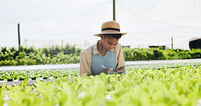 Buy stock photo Farmer, woman and crop inspection with writing for plant growth, food production or reporting. Agribusiness, black person and clipboard on hydroponic farm for vegetable progress, quality or checklist