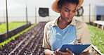 Clipboard, inspection and farmer with checklist for agriculture, sustainability and harvest. Greenhouse, plant and black woman on farm with agro business for crops, quality control or hydroponics