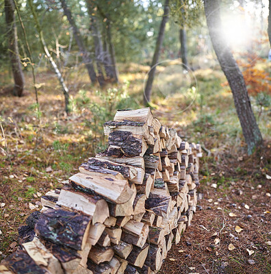 Buy stock photo Nature, trees and pile of wood outdoor in forest for earth conservation, ecosystem or sustainability. Countryside, flare and stack of timber or lumber texture for eco friendly or organic environment.