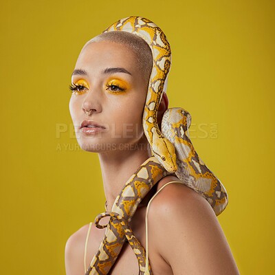 Buy stock photo Woman, snake or python with beauty in studio for fashion, makeup or cosmetics on a yellow background. Thoughtful, female person or aesthetic with eye shadow, reptile animal or serpent for style