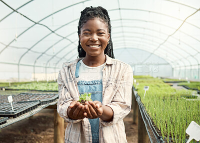 Buy stock photo Portrait, greenhouse and black woman with plant in hands for growth, gardening or agro business. Happy, nature and farmer with seedling in palm for eco friendly farming, environment or agriculture