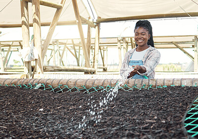 Buy stock photo Watering, farming and black woman in greenhouse for maintenance, growth and soil. Happy, person or farmer with hose for agriculture, sustainable business and pride for eco friendly job outdoor