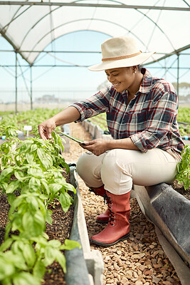 Buy stock photo Review, happy or black woman in greenhouse with tablet, agriculture or soil monitor in crop assessment. Smile, digital or farmer with tech, planting schedule or track produce in quality control