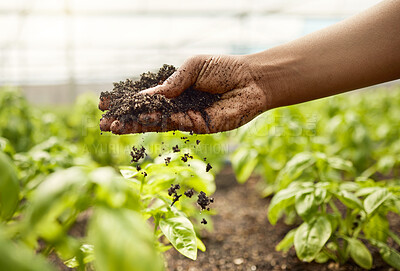 Buy stock photo Soil, hands and person in greenhouse for growth, sustainability and plants inspection. Nature, environment and farmer with fertilizer, quality control or check compost for farming or agriculture