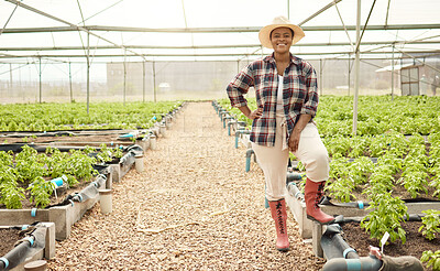 Buy stock photo Happy, farmer and greenhouse with African woman for career pride, about us and agriculture. Portrait, female person or ambition for farming, sustainable business and harvest crops for food production