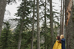 Travel girl friends having fun hiking adventure vacation in green forest amazing view