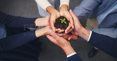 Buy stock photo Hands, soil and business people with plant for natural growth, nurture or development above. Top view, group or employees with sapling, seed or sprout in unity for teamwork, support or progress