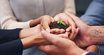 Soil, plant and business people with hands together for natural growth, nurture or development. Closeup, group or employees with sappling, seed or sprout in unity for teamwork, support or progress