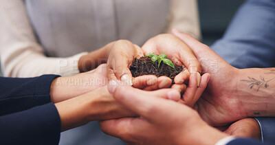 Buy stock photo Soil, plant and business people with hands together for natural growth, nurture or development. Closeup, group or employees with sapling, seed or sprout in unity for teamwork, support or progress