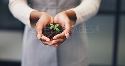 Buy stock photo Woman, hands and plant with soil for natural growth, nurture or eco friendly business in office. Female person, employee or progress with sapling, seed or sprout for conservation or development