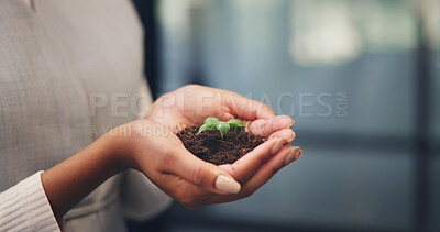 Buy stock photo Woman, hands and plant with soil for nurture, natural growth or eco friendly business in office. Female person, employee or progress with sapling, seed or sprout for conservation or development