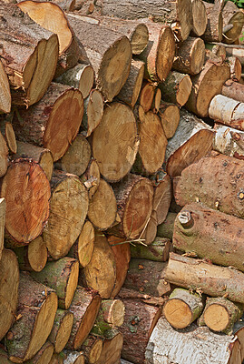 Buy stock photo Nature, timber and wood stack outdoor for lumber business, manufacturing industry or deforestation. Firewood logging, pile and bark supply in forestry for building material, land clearing and felling