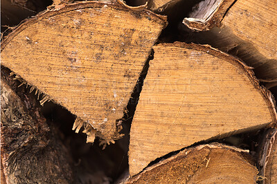 Buy stock photo Wood, pile and lumber in nature for forestry, sustainable business or ecology for logging awareness. Timber, logs or firewood for deforestation, habitat destruction or forest industry with hardwood