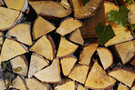 Preparation of firewood for the winter. Stacks of firewood in the forest. Firewood background. Sawed and chopped trees. Stacked wooden logs. 