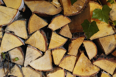 Buy stock photo Wood, stack and timber in nature for forestry, sustainable business or ecology for logging awareness. Lumber, logs or firewood for deforestation, habitat destruction or forest industry with hardwood