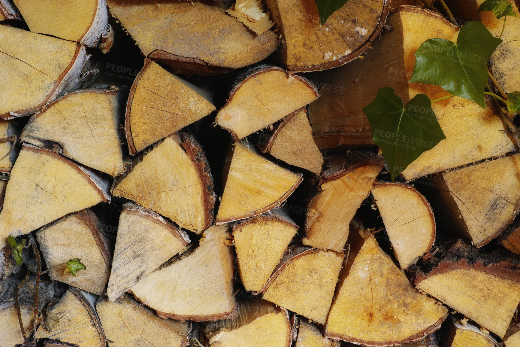 Buy stock photo Wood, stack and timber in nature for forestry, sustainable business or ecology for logging awareness. Lumber, logs or firewood for deforestation, habitat destruction or forest industry with hardwood