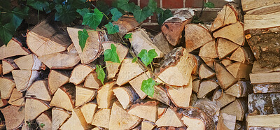Buy stock photo Firewood, stack and timber in nature for forestry, sustainable business or ecology for logging awareness. Lumber, logs or wood for deforestation, habitat destruction or forest industry with hardwood