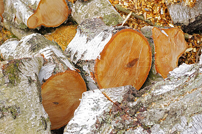 Buy stock photo Wood, pile and logs in nature for forestry, sustainable business or ecology for logging awareness. Timber, lumber or firewood for deforestation, habitat destruction or forest industry with hardwood