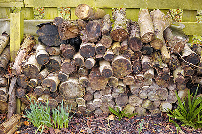 Buy stock photo Nature, timber and wood pile in home garden for energy source, heating and hardwood. Environment, log stack and firewood supply in backyard for renewable resource, outdoor cooking and sustainability