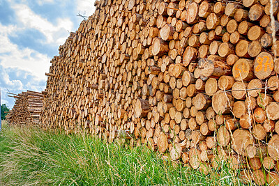 Buy stock photo Nature, timber and wood stack on grass for lumber business, manufacturing industry or deforestation. Firewood logging, pile and supply in environment for building material, land clearing and felling