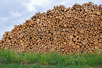 Buy stock photo Nature, timber and wood pile on grass for lumber business, manufacturing industry or deforestation. Firewood logging, stack and supply in environment for building material, land clearing and felling