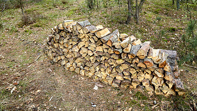 Buy stock photo Tree, collection and chopped wood in nature for deforestation, forest destruction or industry. Woodland, natural resources and timber forestry from environment damage, biodiversity loss and pollution
