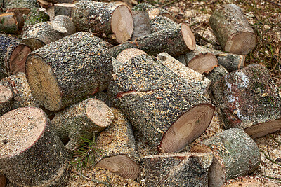 Buy stock photo Wood, pile and lumber in woods for forestry, sustainable business or ecology for logging awareness. Timber, logs or firewood for deforestation, habitat destruction or forest industry with hardwood